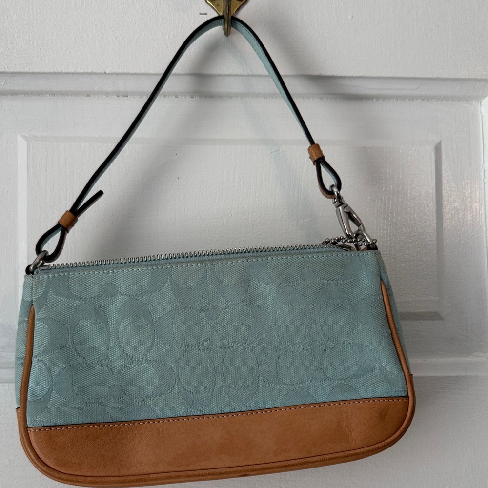 Coach Blue and Tan Women's Bag